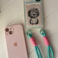 گارد ایفون ۱۳