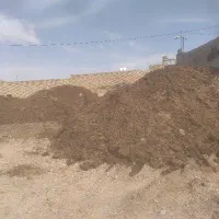 کودگاوی انبار خشک کهنه