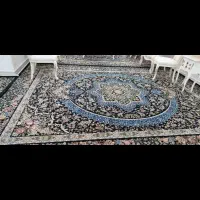 فرش|فرش|یاسوج, |دیوار