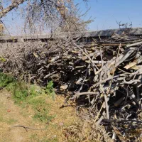 هیزم|بخاری، هیتر، شومینه|شیراز, میرزاکوچک خان|دیوار