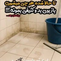 وایتکس گیاهی و بدون بو|مواد شوینده و دستمال کاغذی|لنجان, |دیوار