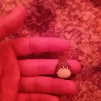 انگشتر گوهر شب چراغ|جواهرات|گرگان, |دیوار