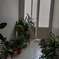 ۱۰۰متر تخلیه تک واحدی چهارراه استقلال|اجارهٔ آپارتمان|تهران, استقلال|دیوار