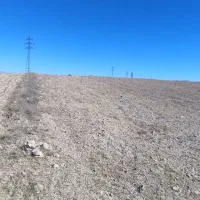 زمین کشاورزی|فروش زمین و ملک کلنگی|زنجان, |دیوار