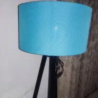 یک عدد آواژور درحدنو