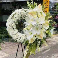 تاج گل و دسته گل طبیعی و ربانی|گل و گیاه طبیعی|لاهیجان, طالقانی|دیوار