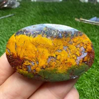 سنگ شجر کلکسیونی