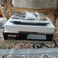 دیودی