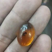سنگ کهربا دوعدد