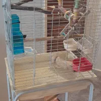 قفس پرنده حرفه ای با پایه و لوازم کامل .