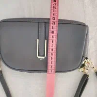 کراس بگ طوسی