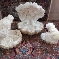 طبق اجاره ای|خدمات پذیرایی، مراسم|کاشان, فاز ۲ ناجی آباد|دیوار