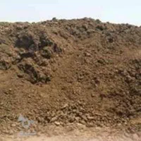 کود  گوسفند ی گاوی خالص|خدمات باغبانی و درختکاری|قزوین, |دیوار