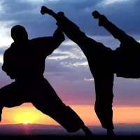 مربی باشگاه