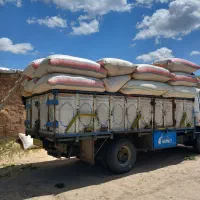 خرید وفروش کاه یونجه