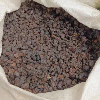 کشمش وه مویز|عمدهفروشی|یاسوج, |دیوار