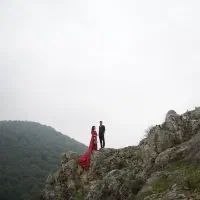 فرمالیته شمال