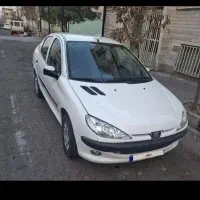 ۲۰۶ اس دی درحد