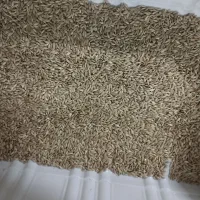 خرید و فروش تخم کتان،گندم،جو،سیاه دانه،عدس