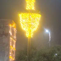 ریسه سوزنی آبشاری طلایی