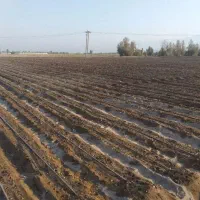 اجاره  زمین کشاورزی قطری