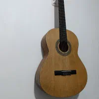 گیتار یونیک c60