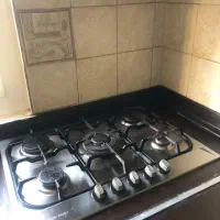 ۷۵ متر دو خواب|اجارهٔ آپارتمان|تهران, درختی|دیوار
