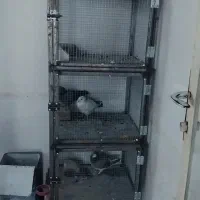 قفس سه طبقه