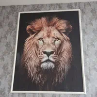 پخش و نصب کاغذ دیواری عمده خرد کناف نقاشی ساختمان