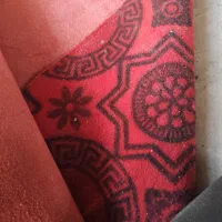 موکت سالم نمایشگاهی