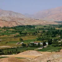 فروش باغ بارده در فیروزکوه شهر ارجمند