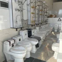 فرنگی ایساتیس الماس یزد عظیمی