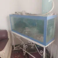 اکواریوم بزرگ باپایه فلزی
