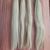 کله مانکن وکیف لوازم شنیون|آرایشگاه و سالن‌های زیبایی|مرند, |دیوار