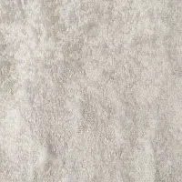 والان پتینه
