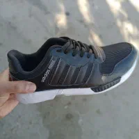 کفش اسپرت|کیف، کفش، کمربند|سرپل ذهاب, |دیوار