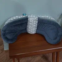 سیسمونی نوزاد