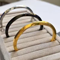 دستبند ،بنگل،بدلیجات