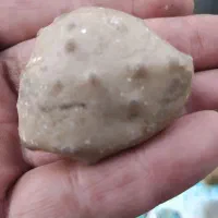 فروش سنگ فسیل|کلکسیون اشیاء عتیقه|گنبد کاووس, |دیوار