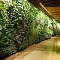 باغ با کاربری باغ رستوران