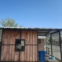 قفس اهنی