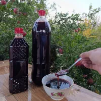 رب انار ارسنجان (درجه یک)