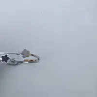 بنگل رنگ ثابت|بدلیجات|ارومیه, |دیوار