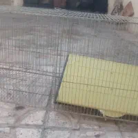 قفس دو قلو پرنده|لوازم جانبی حیوانات|مرودشت, ژیان|دیوار