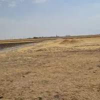 زمین کشاورزی