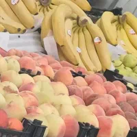 شاگرد میوه فروشی