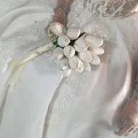 دیجی مراسم بانوان|خدمات پذیرایی، مراسم|تربتحیدریه, قائم|دیوار