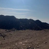 انواع کود حیوانی و قارچی