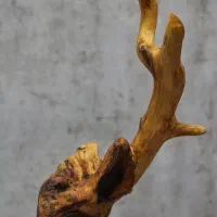 مجسمه دکوراتیو گوزن تک‌شاخ|مجسمه، تندیس، ماکت|رشت, گلسار|دیوار