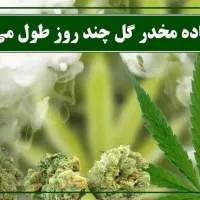 راهنمایی و مشاوره ترک گل با هیپنوتیزم